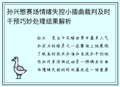 孙兴慜赛场情绪失控小插曲裁判及时干预巧妙处理结果解析